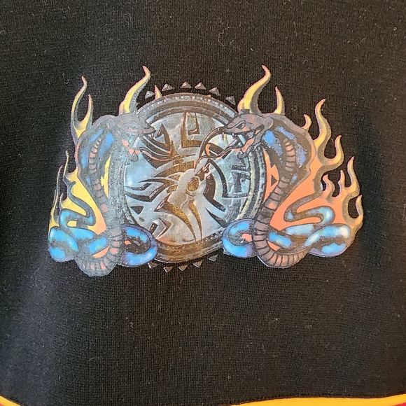 Vintage Double Dragon Pullover from No Boundaries (Size Med) - Picture 3 of 9